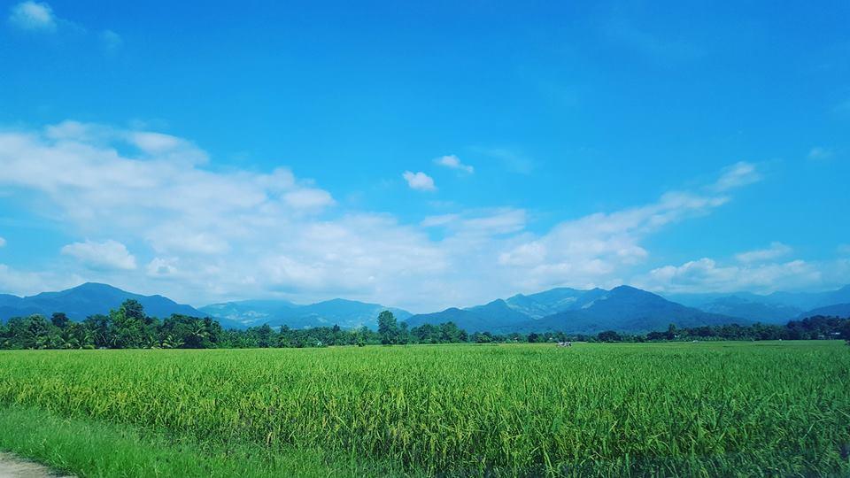 Ton Lang Homestay Pua Extérieur photo