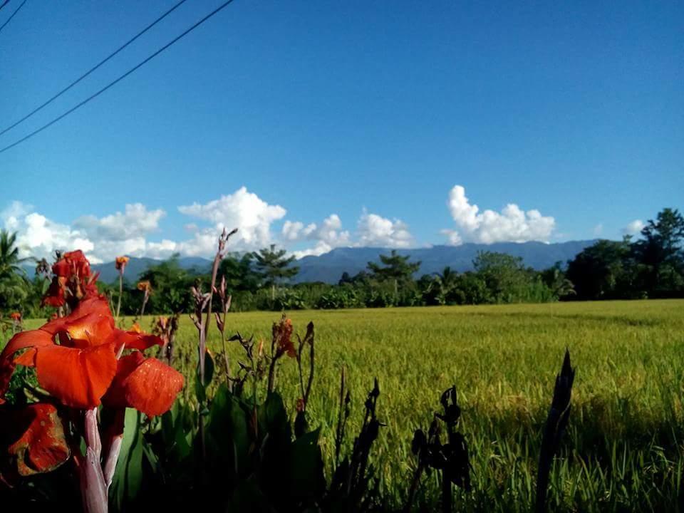 Ton Lang Homestay Pua Extérieur photo