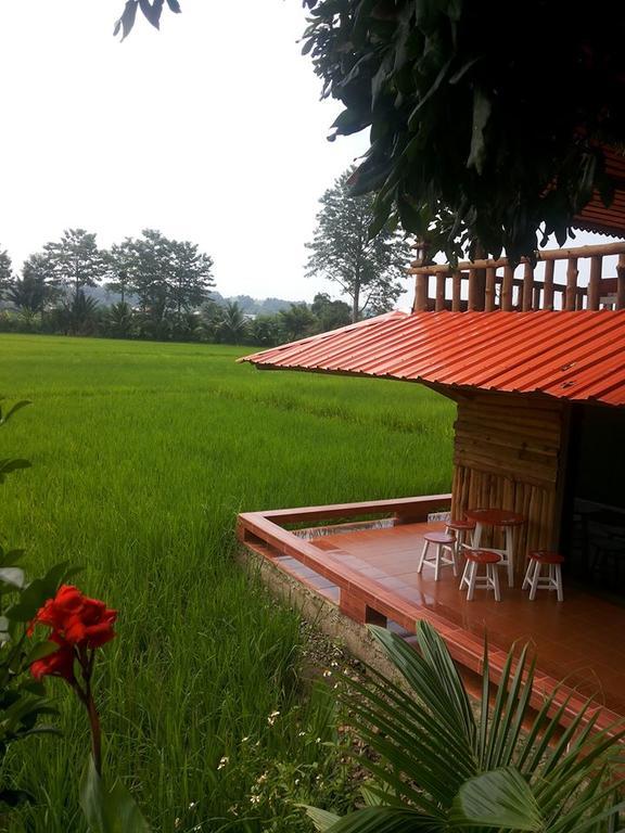 Ton Lang Homestay Pua Extérieur photo